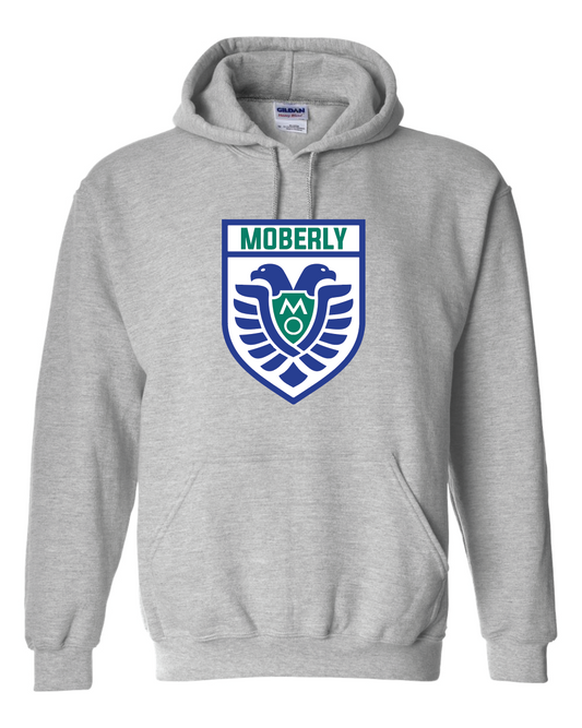 AFC Hooded Sweatshirt